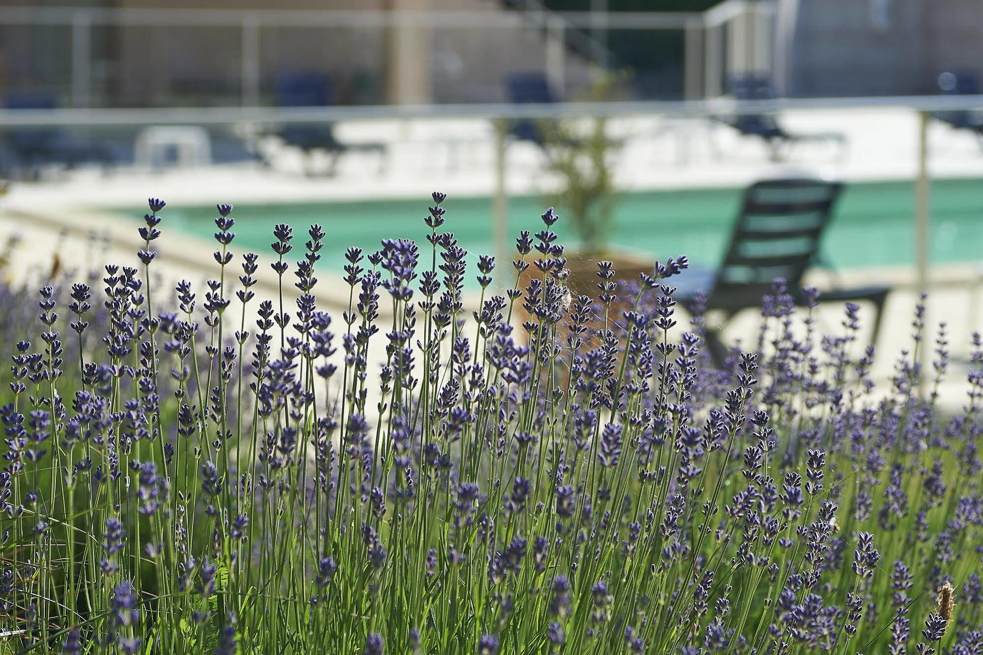 Cit'Hotel Les Alizes Limoges Luaran gambar
